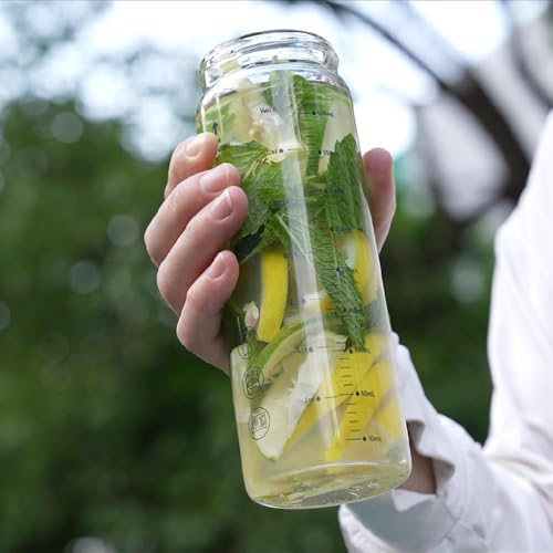 16oz Wide Mouth Glass Juice Bottles With Stainless Steel Lids 4 Pack (silver lid)