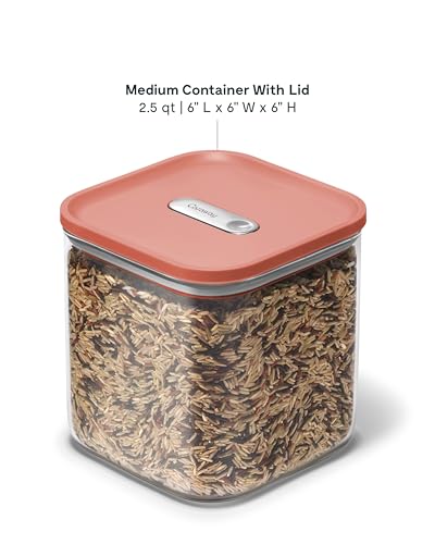 2.5 qt Glass Airtight Food Storage Container with Lid (Perracotta / 2.5qt Container)