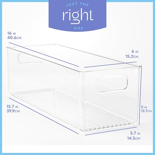 Plastic Food Storage 2 Pack Clear Container Bin with Handles for Organizing Kitchen (2 Count)