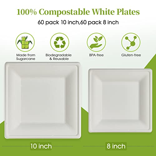 120 Pack Compostable Paper Plates Disposable (10 inch and 8 inch)