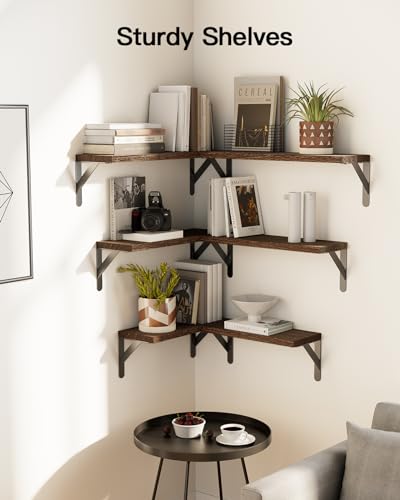 Amada Solid Paulownia Wood Wall Shelves (Brown / Medium)
