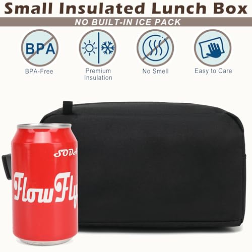Small Insulated Lunch box Portable Soft Bag Mini Cooler Thermal Meal Tote Kit with Buckle for Work