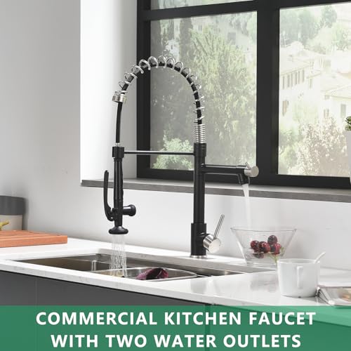 Pull Down Kitchen Faucet with Sprayer Commercial (Black&Nickel)