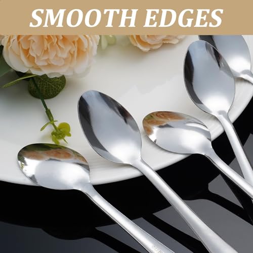 Windsor 96 Pcs Stainless Steel Dinner Spoons (96PCS Dinner Spoon)