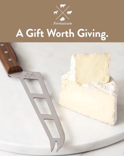 Professional Soft Cheese Knife w