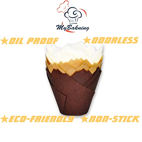 JUMBO EXTRA LARGE size (Jumbo Brown&White&Natural)