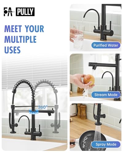 3 in 1 Kitchen Sink Faucet with Drinking Water Faucet Matte Black (Matte Black)