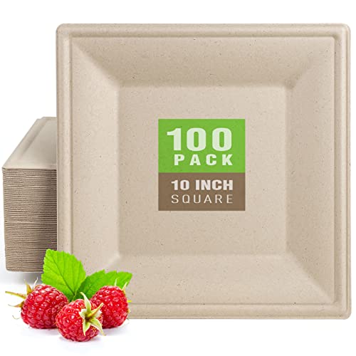 Compostable Square Paper Plates 10 Inch 100 Pack Disposable Plates (Brown / 10-inch 100 pack)