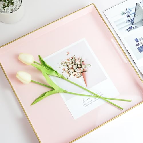 Pink Decorative Serving Tray with Handles (Dl006r)