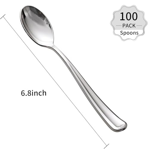 100 Pack Silver Plastic Spoons Disposable (Silver Spoons / 100)