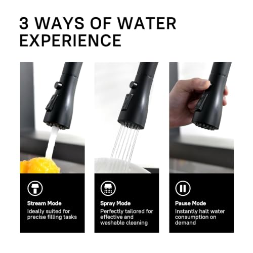 Pull Down Kitchen Faucet (Matte Black)