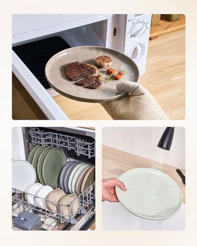 Mars Stoneware Dinnerware Set for 4 (Multicolor / Set(12pcs))
