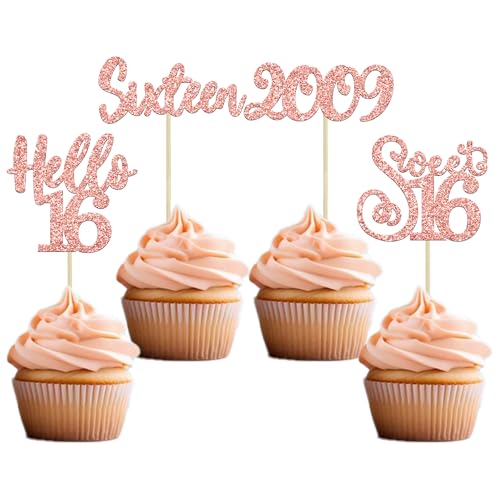 24pcs 16th Birthday Cupcake Toppers (24 Count)