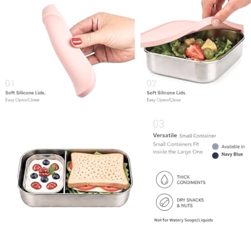Flexibento Leak proof 47 OZ Stainless Steel Bento Box Adult Large (ZAA-Pink-47OZ-Setof2)