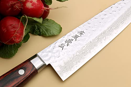 VG10 16 Layer Hammered Damascus Stainless Steel Santoku Chefs Knife (7" / Mahogany Handle)