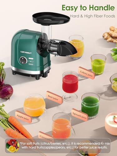 Cold Press Juicer Machine Slow Masticating Extractor for Celery Wheatgrass Spinach Ginger Cucumber Kale (Green)