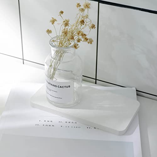 2Pcs Stone Soap Trays Water Absorbing Diatomite Coaster (White / 6.3" x 3.2")