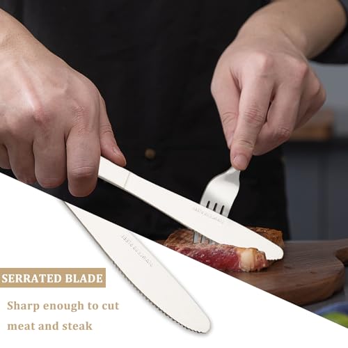 72 PCS Dinner Knifes Set (72PCS Dinner Kinfe)