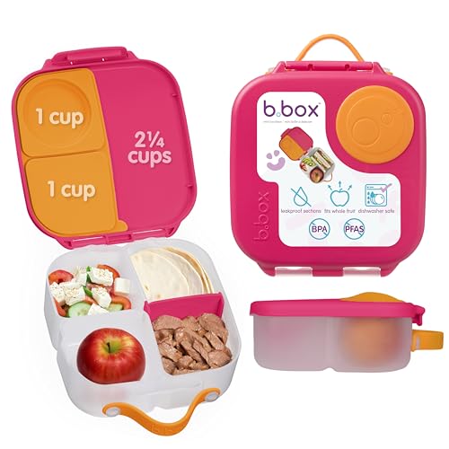 Mini Lunch Box