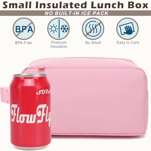 Small Insulated Lunch box Portable Soft Bag Mini Cooler Thermal Meal Tote Kit with Buckle for Work