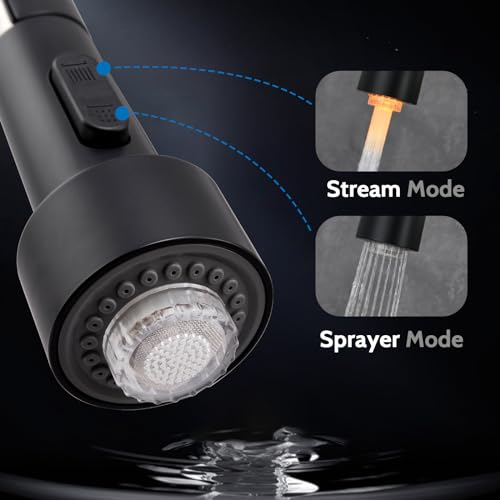 LED Kitchen Faucet (Matte Black)