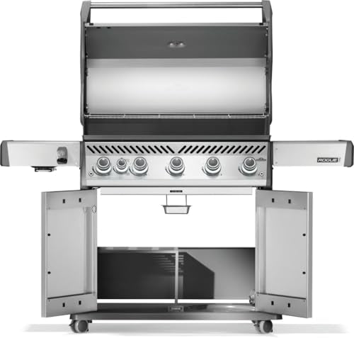 Rogue PRO 625 5 (Stainless Steel / Rogue PRO 625)