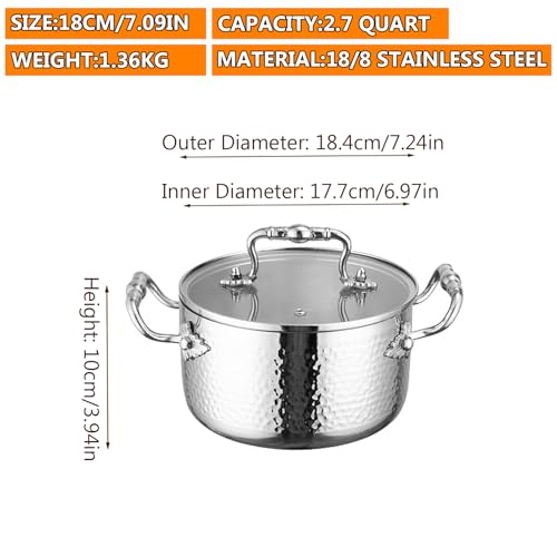 Stainless Steel Stock Pot with Visible Lid for Pasta (2.7 Quarts)