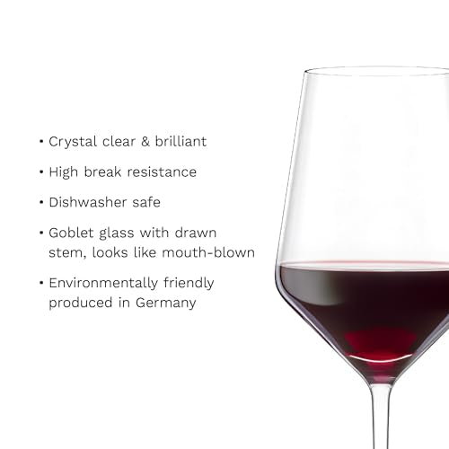 Revolution Bordeaux Red Wine Glasses 22 oz Set Of 6 (6 Count)
