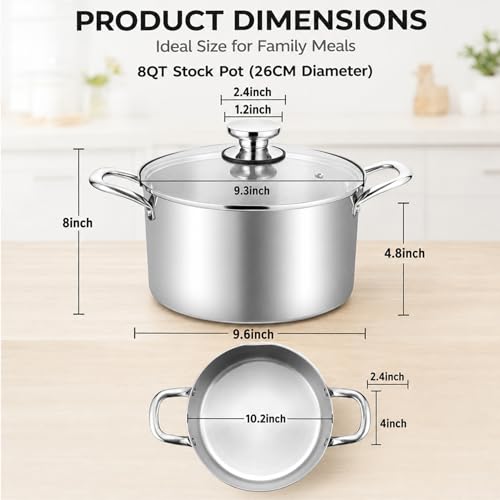 8 Quart Stock Pot (8 Quarts)