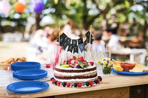 Sturdy Dark Blue Plastic Plates 9" Party Plates 100 Pcs (9 inch / Dark Blue)