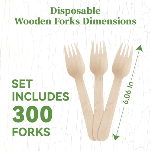 300 Count Compostable Wooden Disposable Forks for Party (brown-forks)