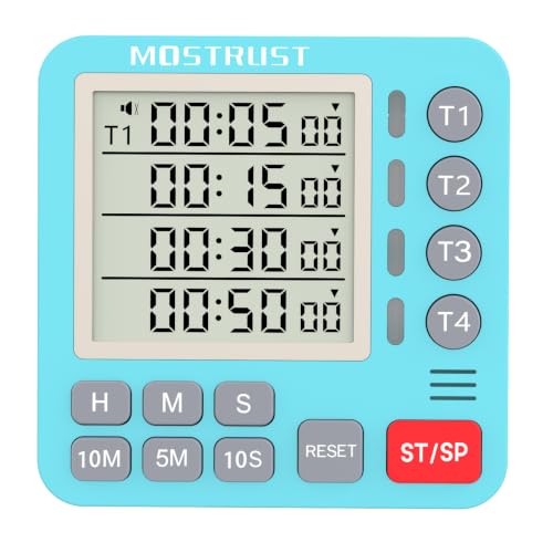 Digital Dual Kitchen Timer (Blue)