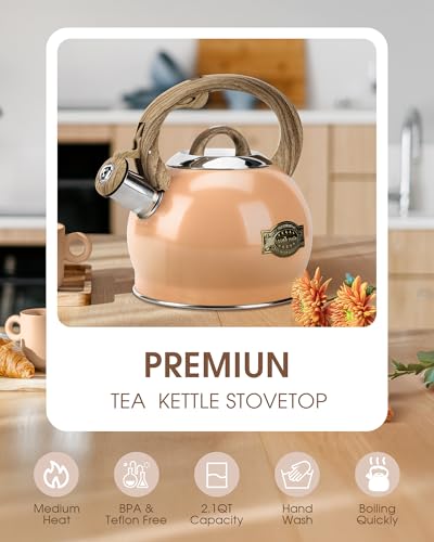 2.1 Qt Whistling Tea Kettle for Stovetop with Heat (Peachy)