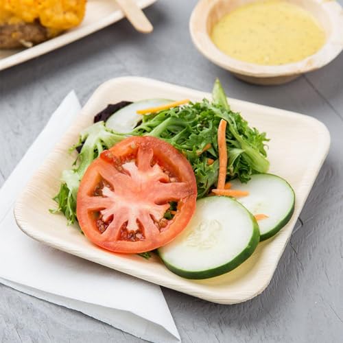 Raj Bamboo Disposable Heavy Duty 6" Square Plates 300 Pack