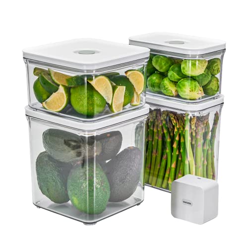 Premium Airtight Food Storage Containers & Vacuum Sealer Machine Starter Set (OT-VS SET/5P)