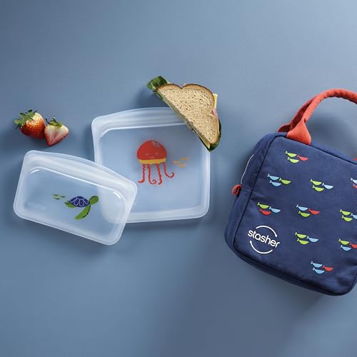 Reusable Kids Lunch Collection (3-Pack)