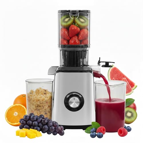 Cold Press Juicer (Silver / 200W)