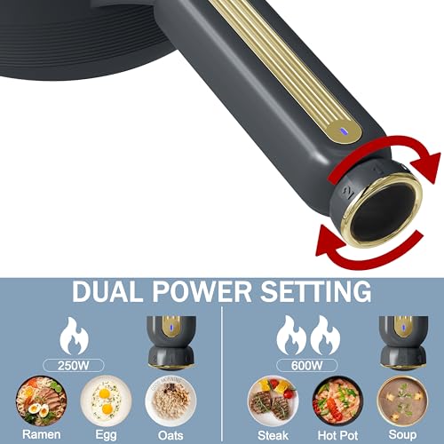 2L Electric Pot