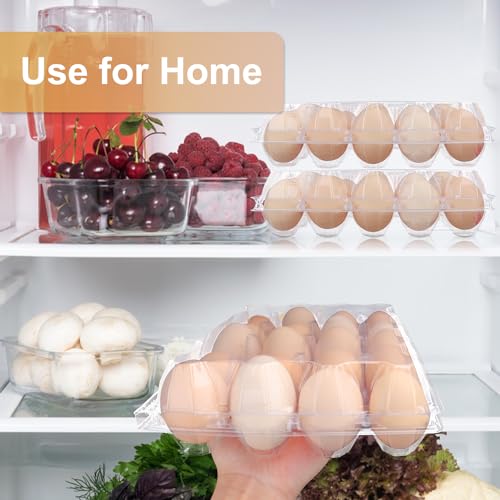 50 Pack Bulk Egg Cartons (20 Grids)