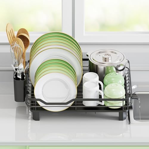 Dish Drying Rack (Black)