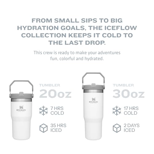 IceFlow Flip Straw Tumbler with Handle 20 oz (Jade / 20 Ounces)