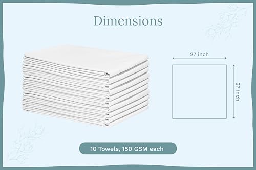 Organic Cotton White Dish Towels (White)