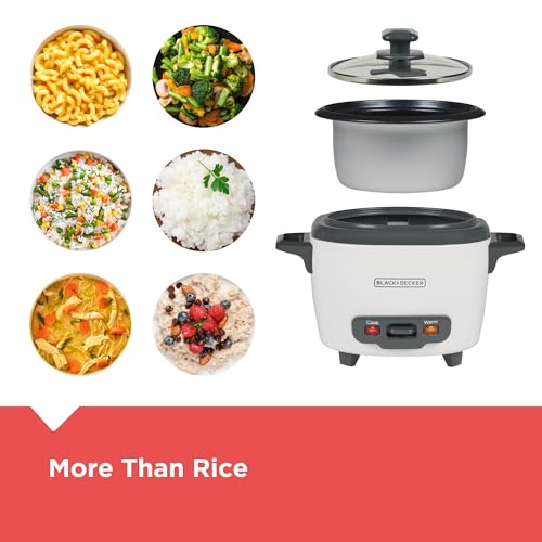 3 Cup Rice Cooker with Steaming Basket (3-cup / rice cooker)