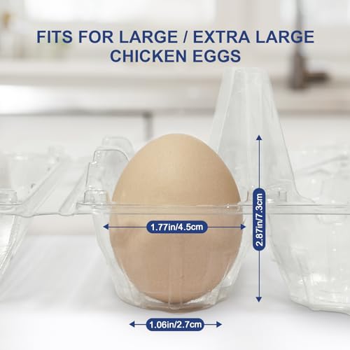 Large 120 Pack Egg Cartons Cheap Bulk (Large-120PK-6CT)