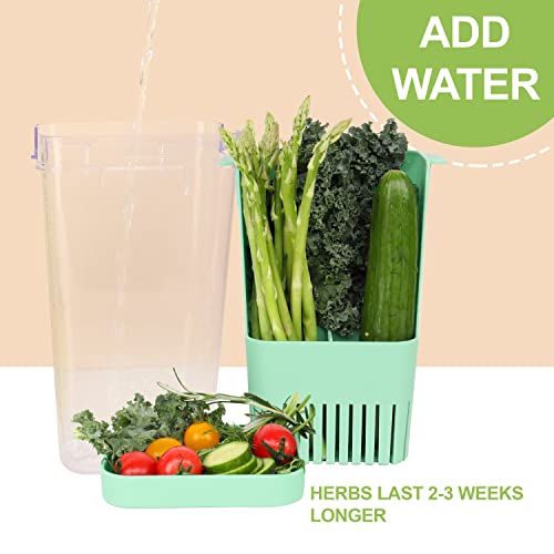 2 Pack Herb Keeper (Herb Keeper - Green & Blue)