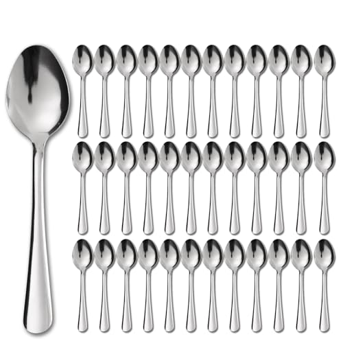 Windsor 36 Pcs Stainless Steel Dinner Spoons (36-piece Dinner Spoon)