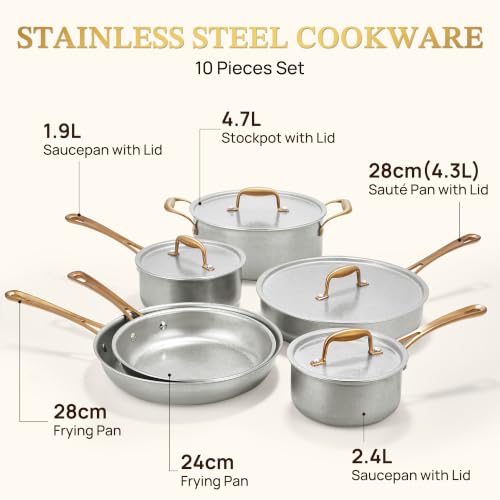 Vintage 10 Pcs Stainless Steel Pots and Pans Set Non Toxic (10 Piece)