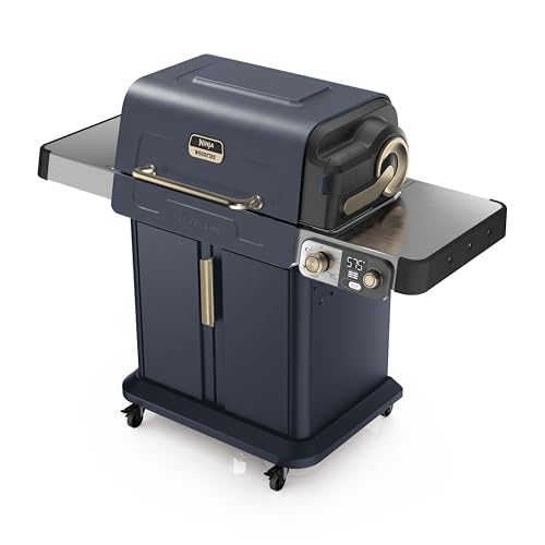 FlexFlame Grill & Smoker (Blue)