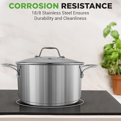 6 Quart Stainless Steel Stock Pot with Lid (Stainless Steel / 6 Quarts)