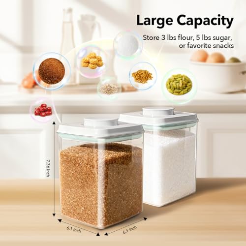 Food Storage Container Set 2.8 Qt ×2 with Lids (2.8 Qt X 2)